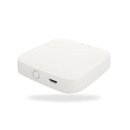 Bluetooth Mesh(SIG) Gateway